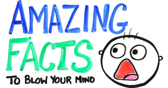 35 Amazing facts in hindi – रोचक तथ्य हिंदी