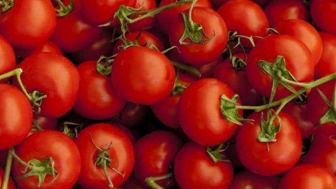 टमाटर खाने के फायदे और नुकसान Tomato Khane Ke Fayde or Nuksan in Hindi